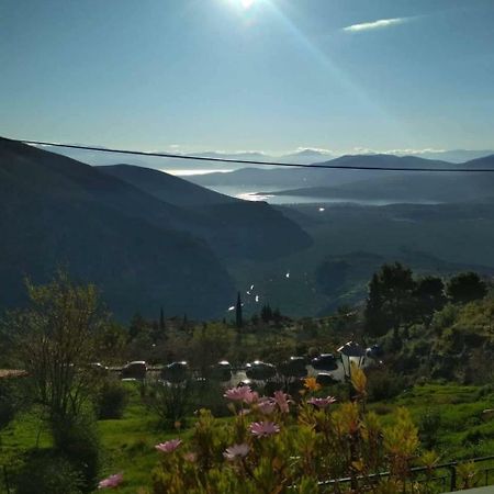 Sun View Guesthouse Delphi Dış mekan fotoğraf
