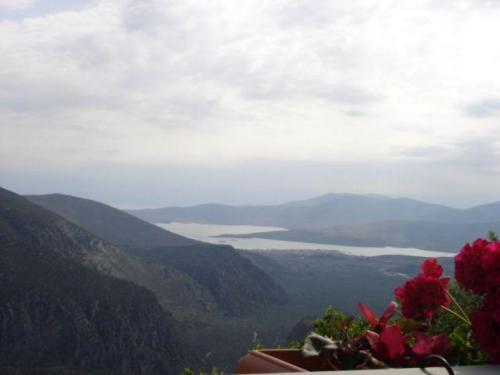 Sun View Guesthouse Delphi Dış mekan fotoğraf