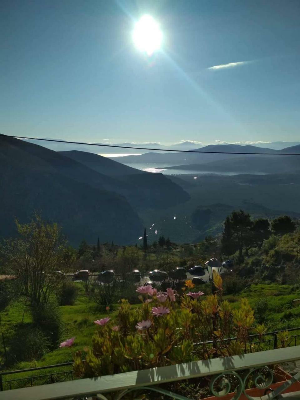 Sun View Guesthouse Delphi Dış mekan fotoğraf